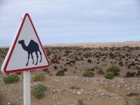 006 Western Sahara